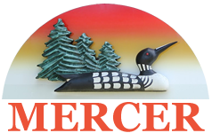 Mercer-logo-01